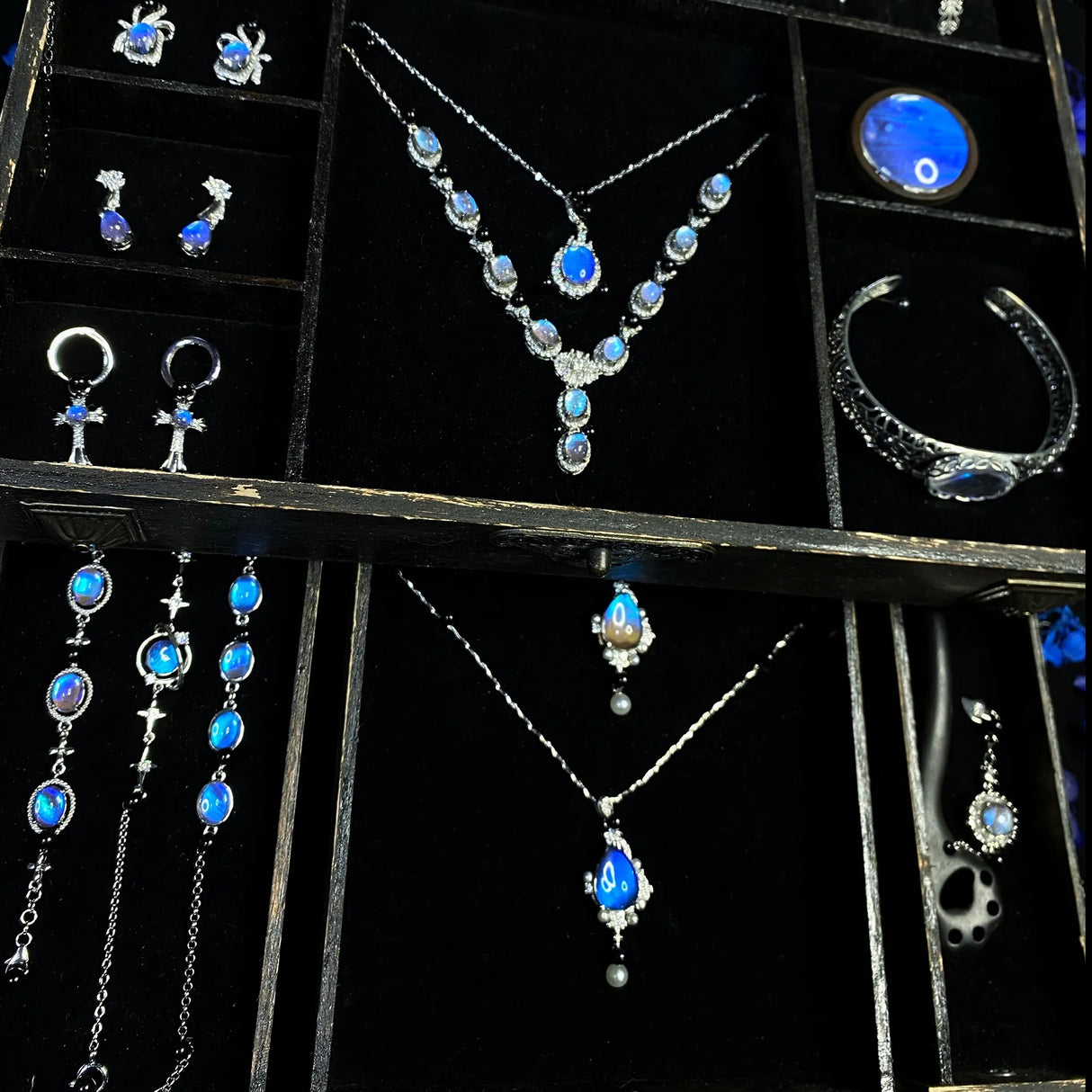 Interior view of a Blue Morpho butterfly jewelry box featuring velvet-lined compartments and handmade butterfly wing jewelry.