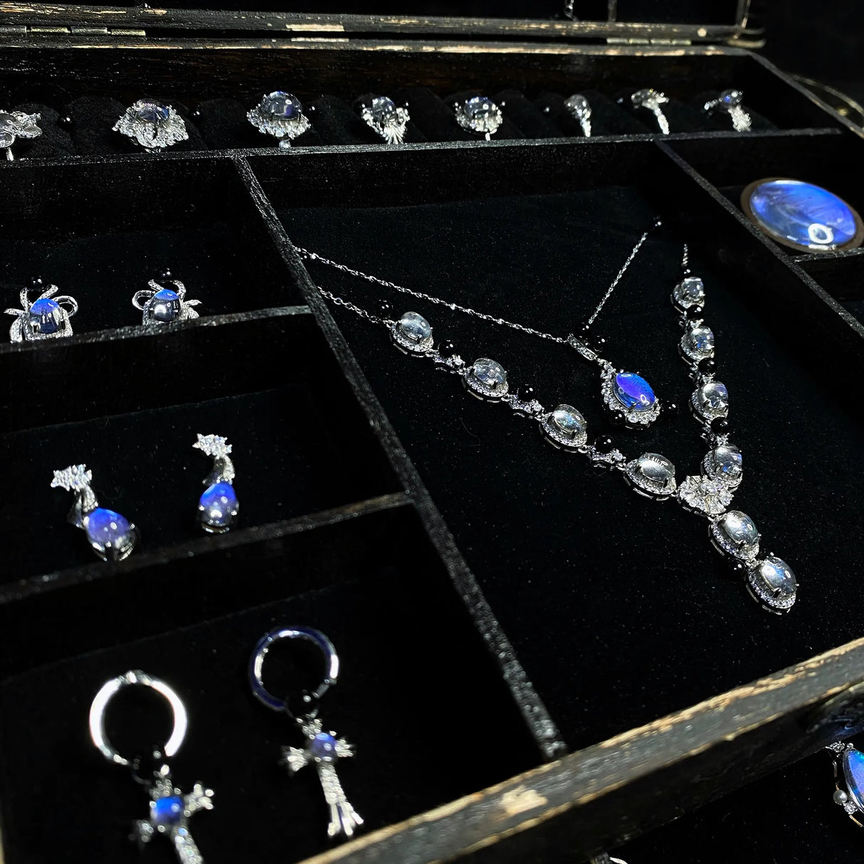 Real preserved Morpho helena butterfly mounted inside a luxury jewelry box with vivid iridescent blue wings.