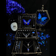 Luxury Blue Morpho butterfly jewelry box featuring a real Morpho helena butterfly display with handmade butterfly wing jewelry collection.