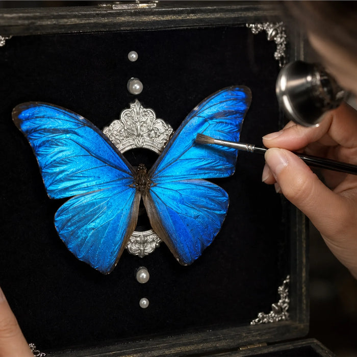 Preparing and preserving Blue Morpho butterfly wings to maintain iridescence and long-term durability