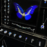 Close-up of ring storage compartment inside a Blue Morpho butterfly jewelry box featuring handmade butterfly wing rings.