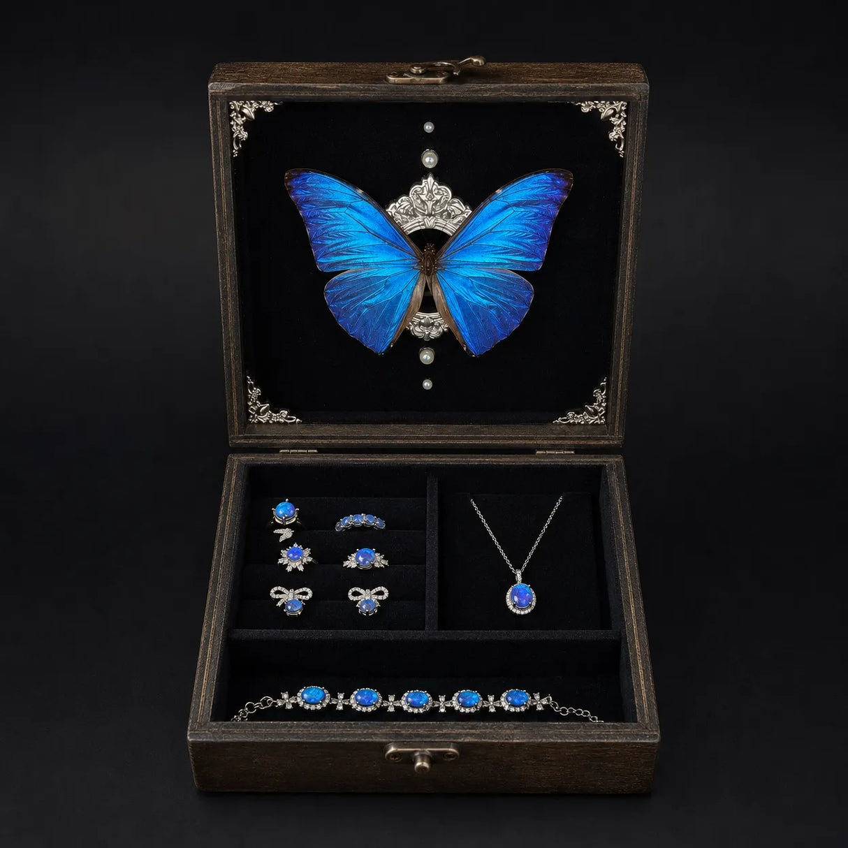 Lucimorph luxury jewelry box featuring a real iridescent Blue Morpho butterfly specimen under glass.
